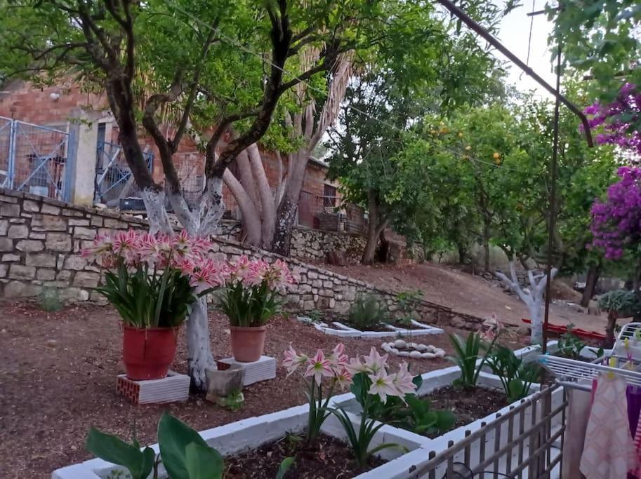 Villa Lidi Stavros  Esterno foto