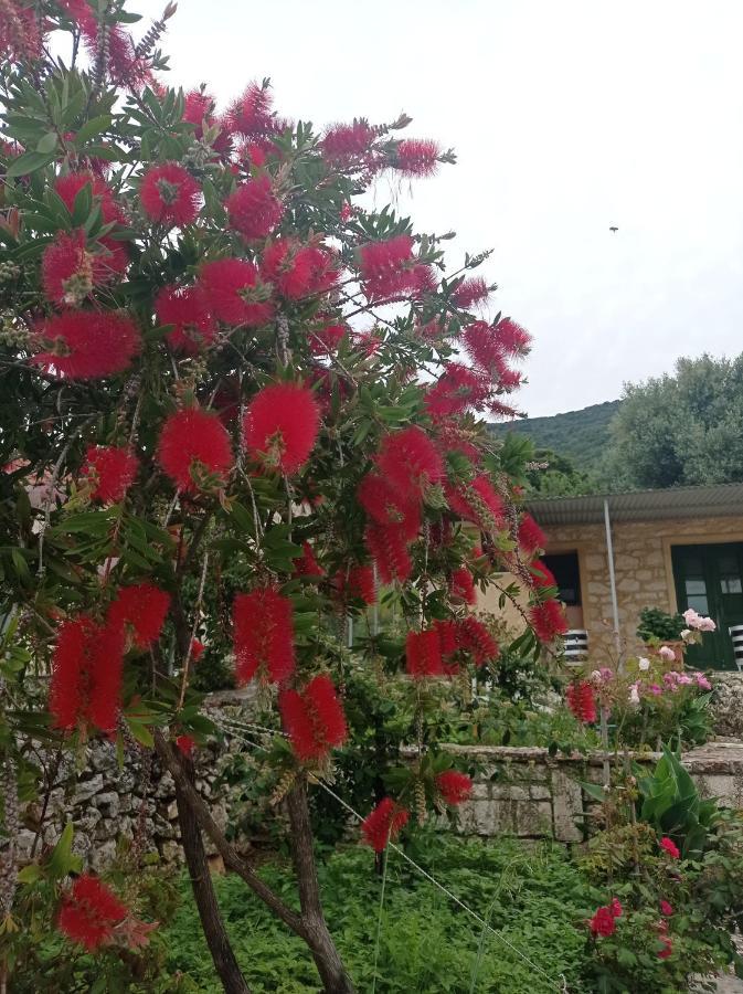 Villa Lidi Stavros  Esterno foto