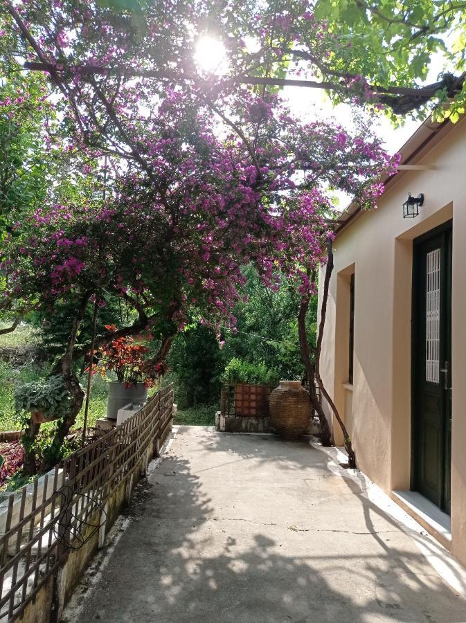 Villa Lidi Stavros  Esterno foto