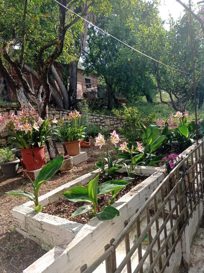 Villa Lidi Stavros  Esterno foto